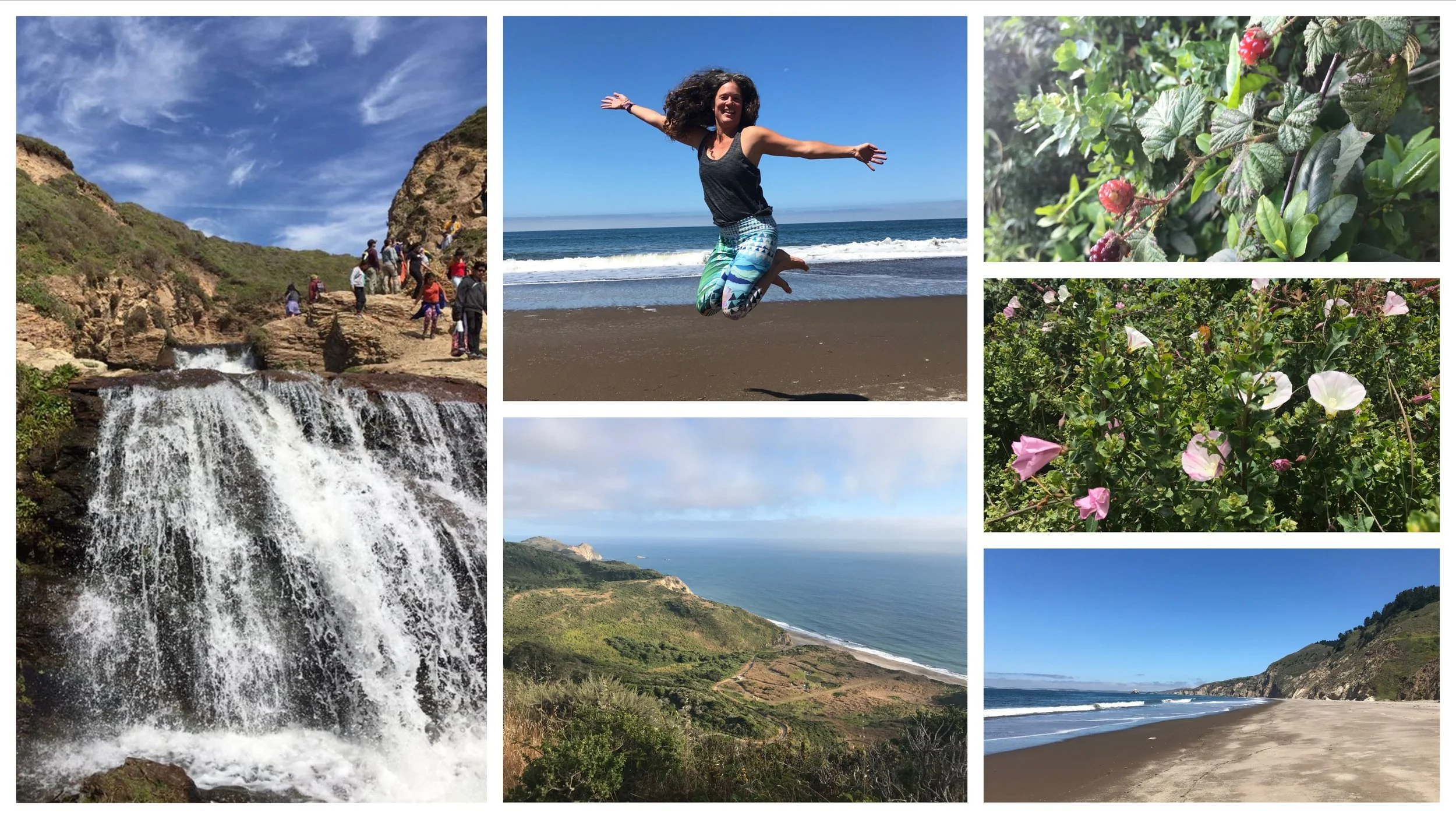 Collage at Point Reyes: Alamere Falls pouring off a cliff onto the beach, a woman leaping on the sand, coastal wildflowers and ocean bluffs.