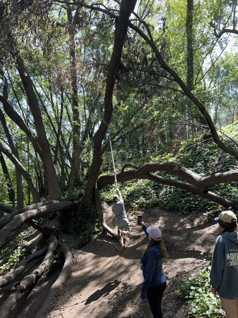 A child swinging on a rope among sprawling trees while adults watch, in the East Bay.