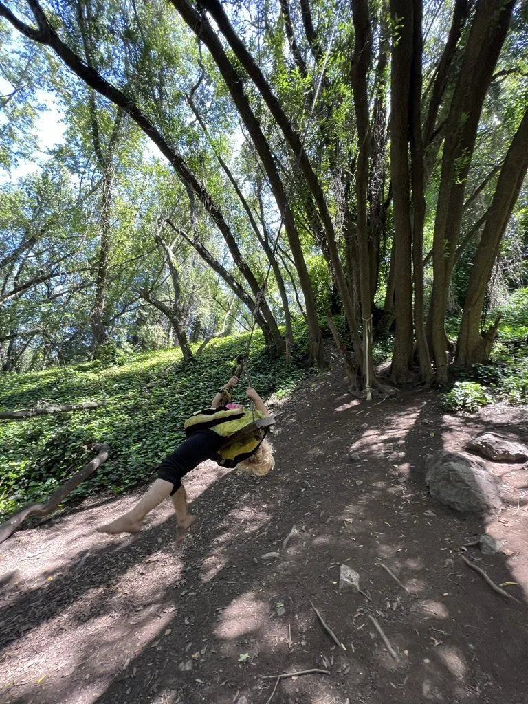 A child in a bee costume swinging on a rope swing beneath sprawling trees in the East Bay.