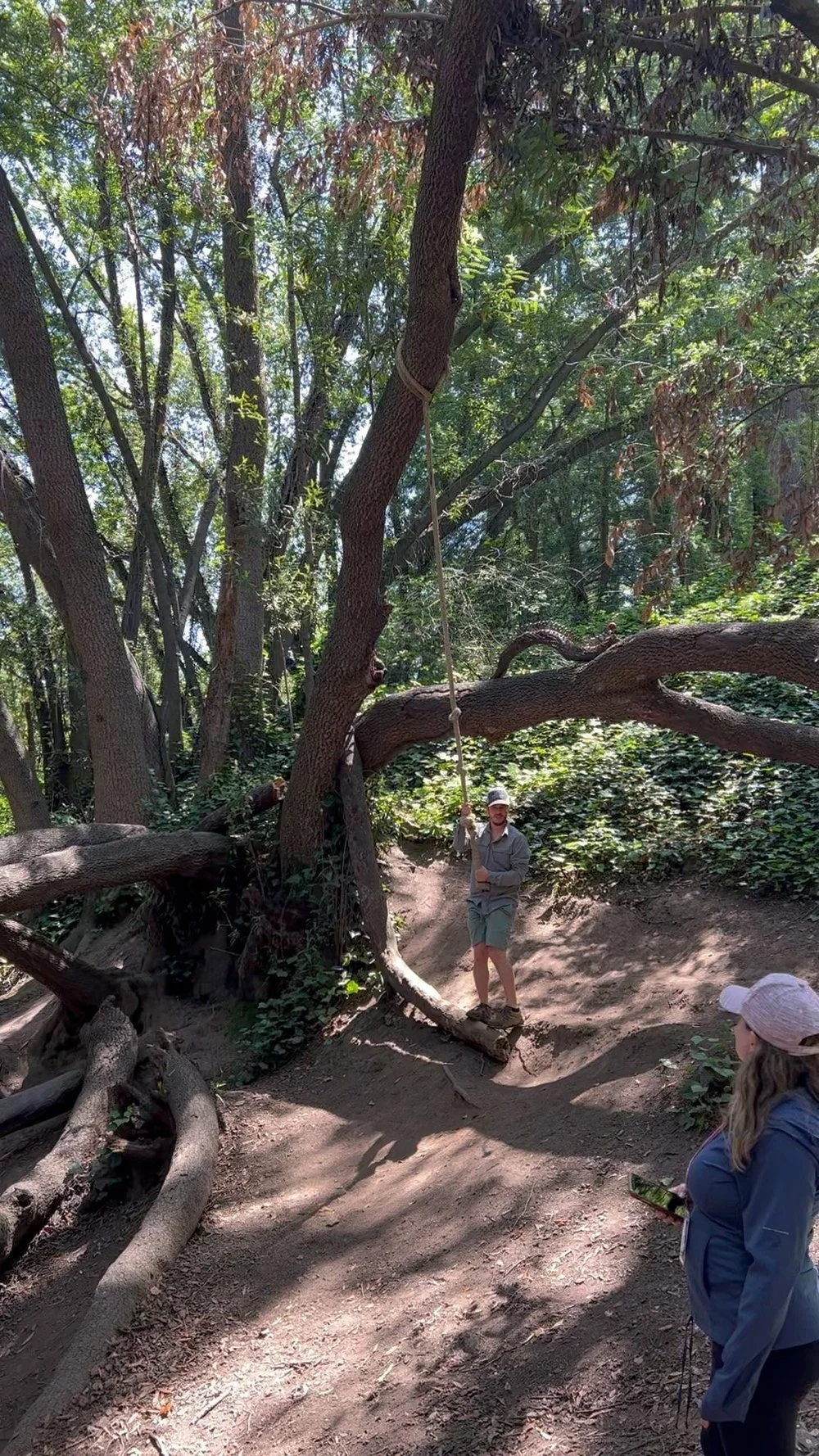 Parents watching a child on a rope swing among twisting tree roots in the East Bay.