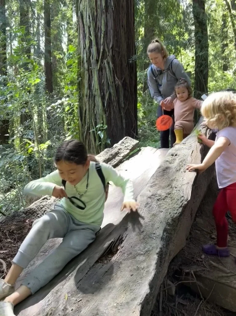 Children sliding down a smooth fallen log among redwoods in the East Bay.