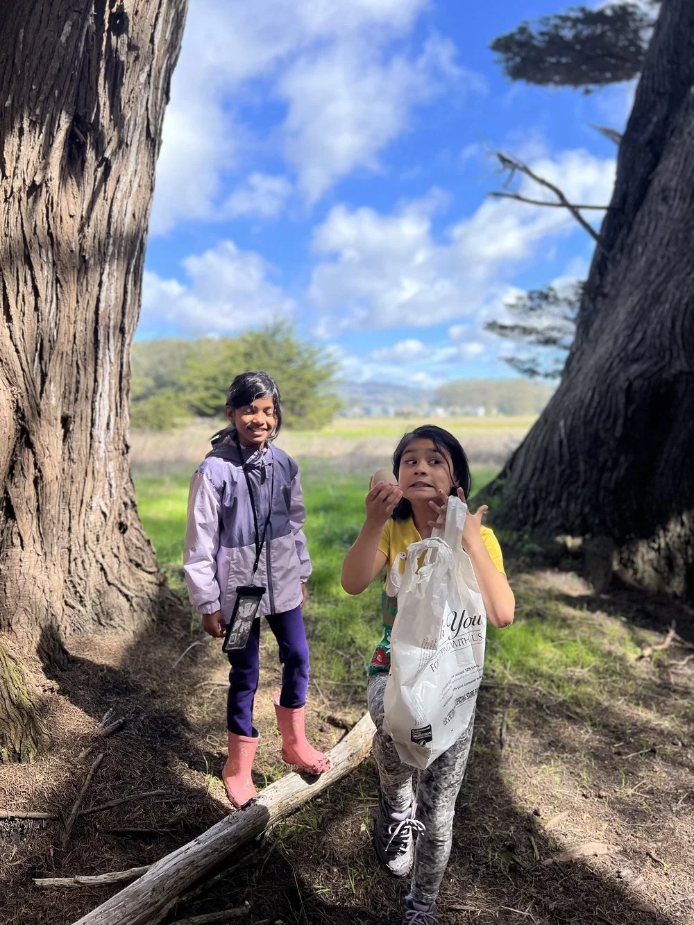 Two children holding bags beside large cypress trunks on a sunny day.