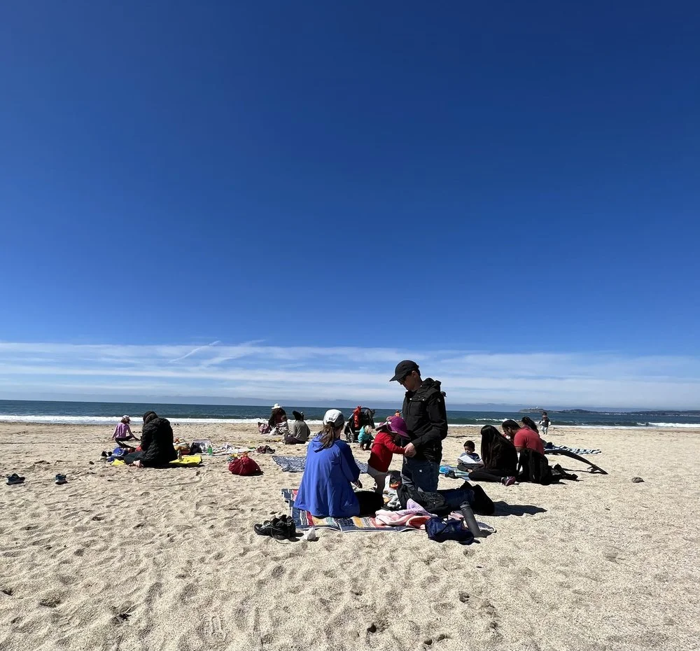 Families picnicking on a sandy beach under a clear blue sky.