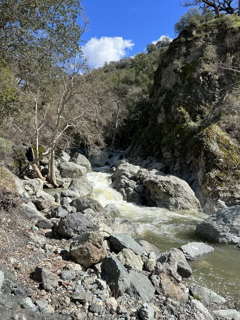A creek rushing over rocks through a sunny canyon at Little Yosemite in the East Bay.