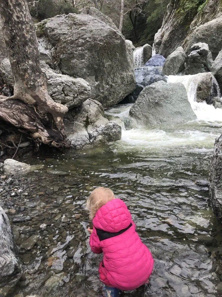A child in a pink jacket crouching by a creek below small cascades at Little Yosemite in the East Bay.