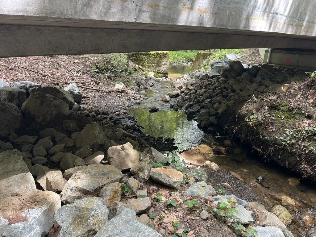 A rocky creek flowing under a concrete bridge in the South Bay.