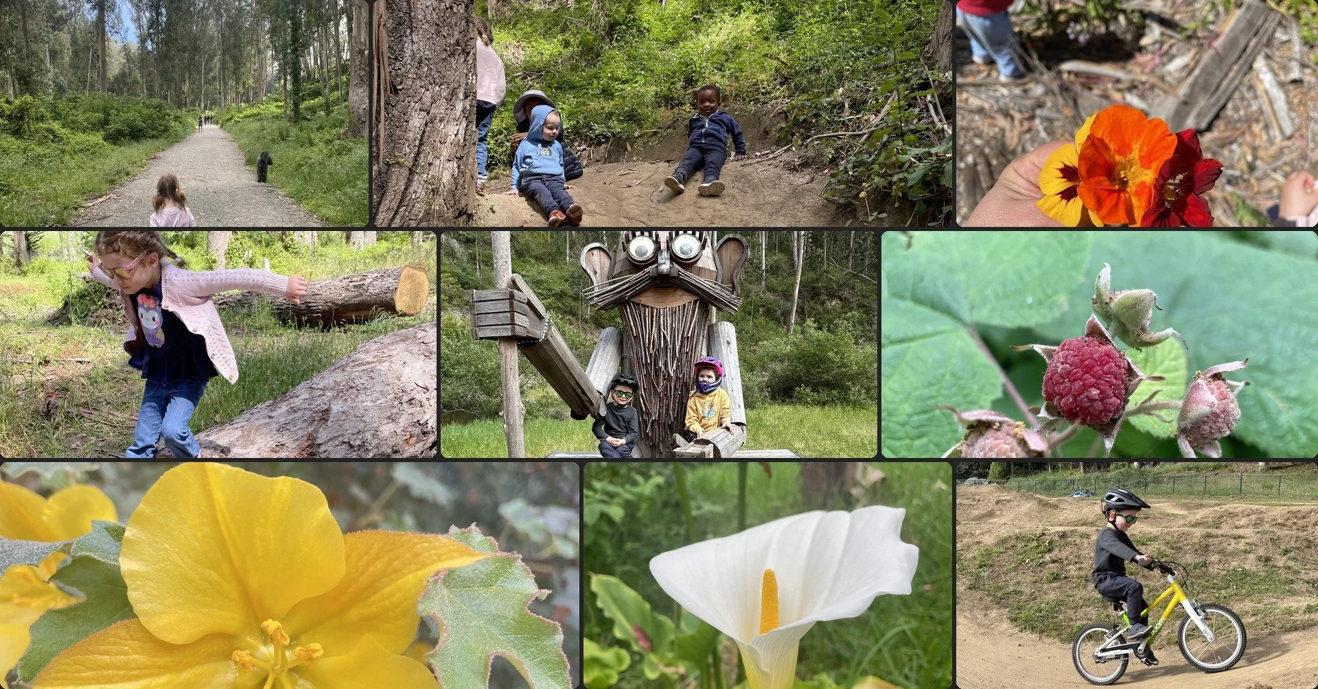 Collage near Half Moon Bay: children on forest trails, a giant wooden troll sculpture, a child biking, and close-ups of wildflowers and berries.