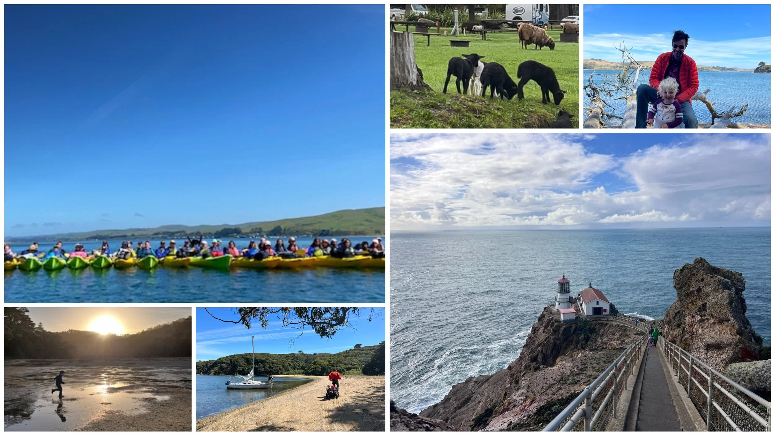 Collage at Point Reyes: a line of kayakers on Tomales Bay, tule elk grazing, the lighthouse on its cliffs, and a sunset over the water.