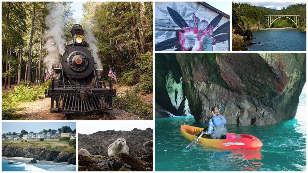 Collage in Mendocino: a steam train in the redwoods, a kayaker in a turquoise sea cave, a harbor seal, a bridge over a cove, and the rocky coast.