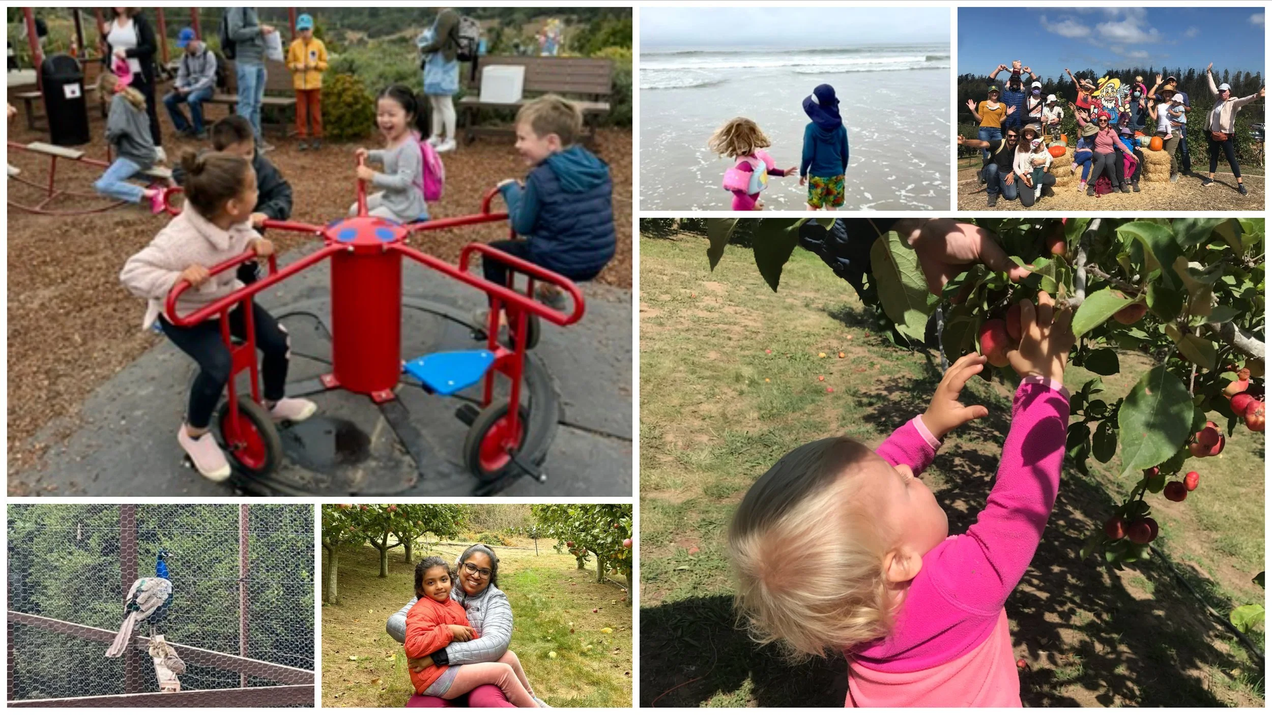 Collage near Santa Cruz: children on a vintage playground ride, a child picking apples, a peacock, families on the beach, and a big group photo.