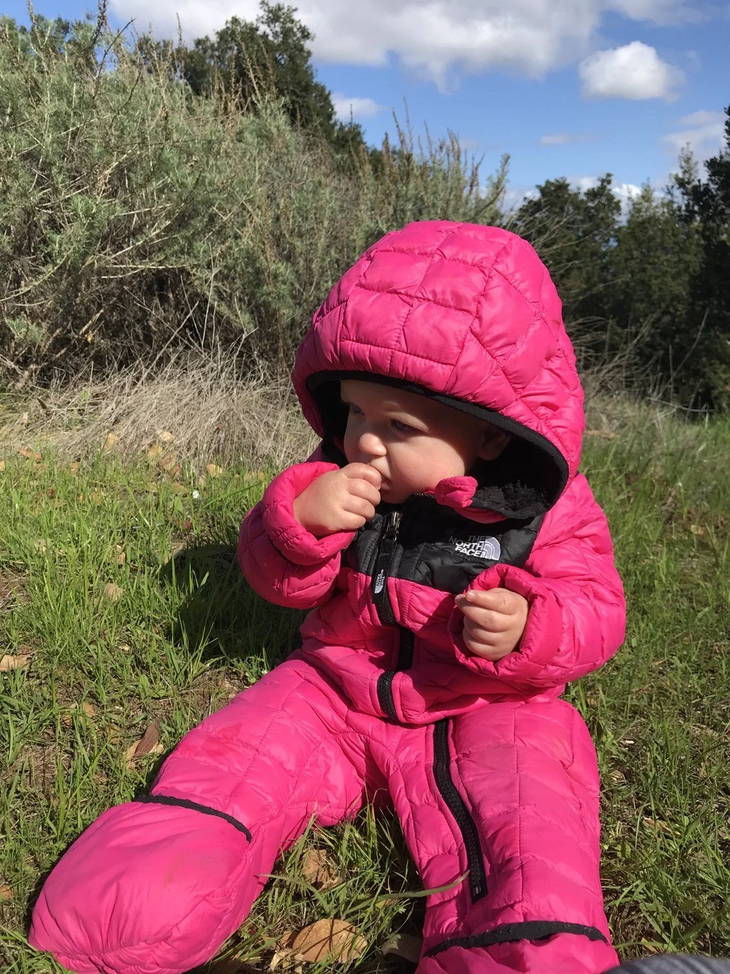 A baby in a pink hooded The North Face ThermoBall suit sitting on grass in the sun.