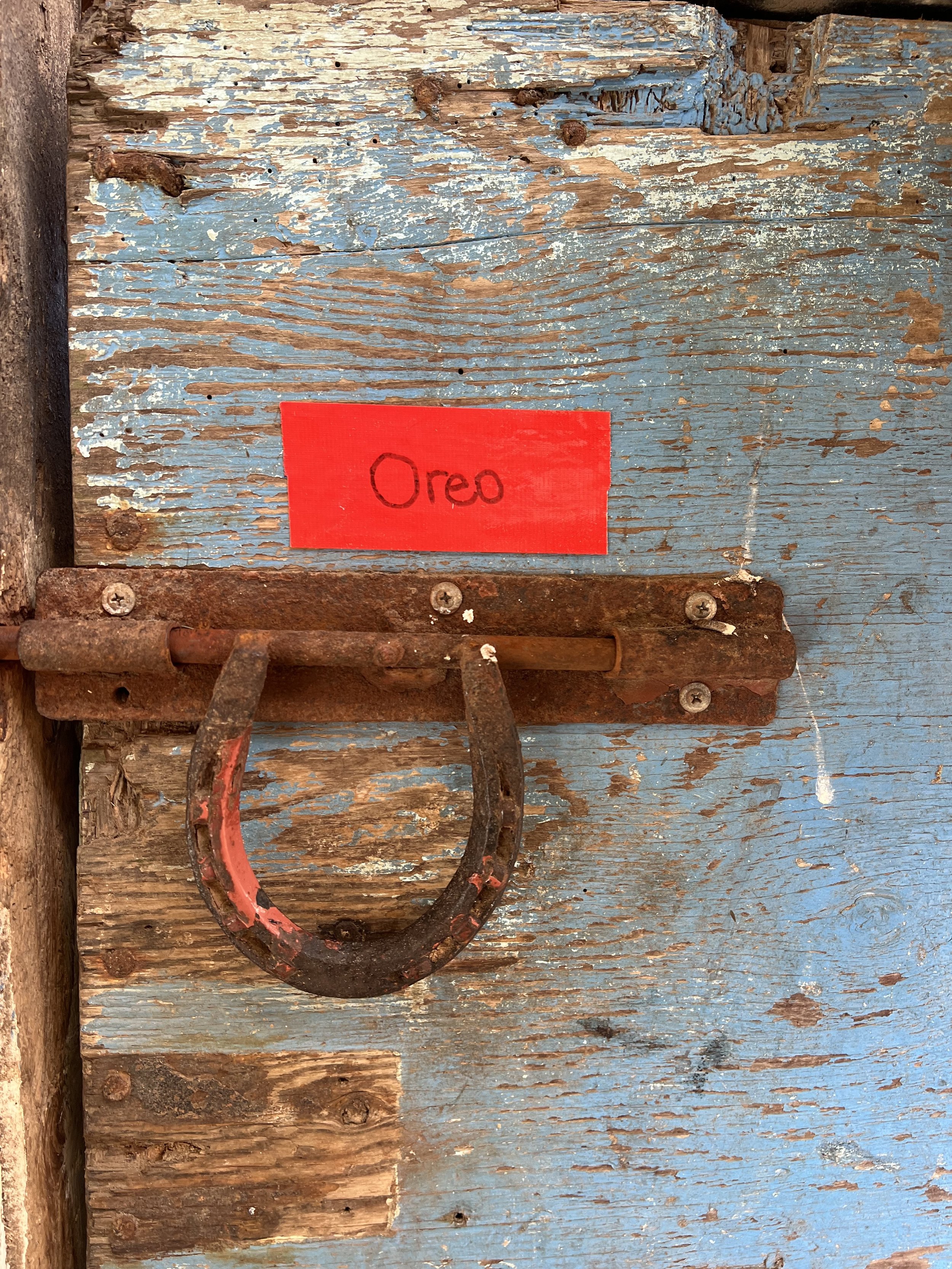 DC_oreo.jpg