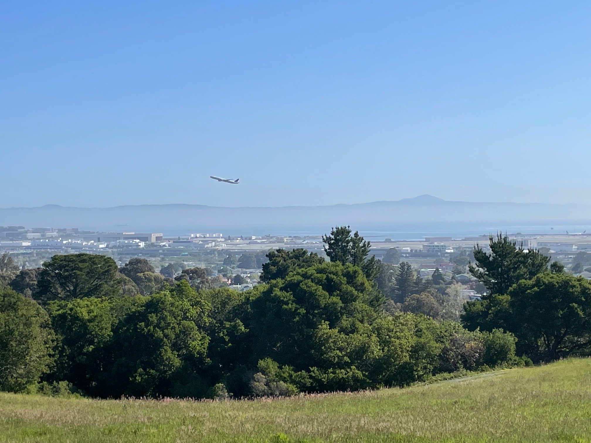4/27/25: Planes! Grassy Meadow! Wildflowers! Wild Radish Tasting + More (South SF)