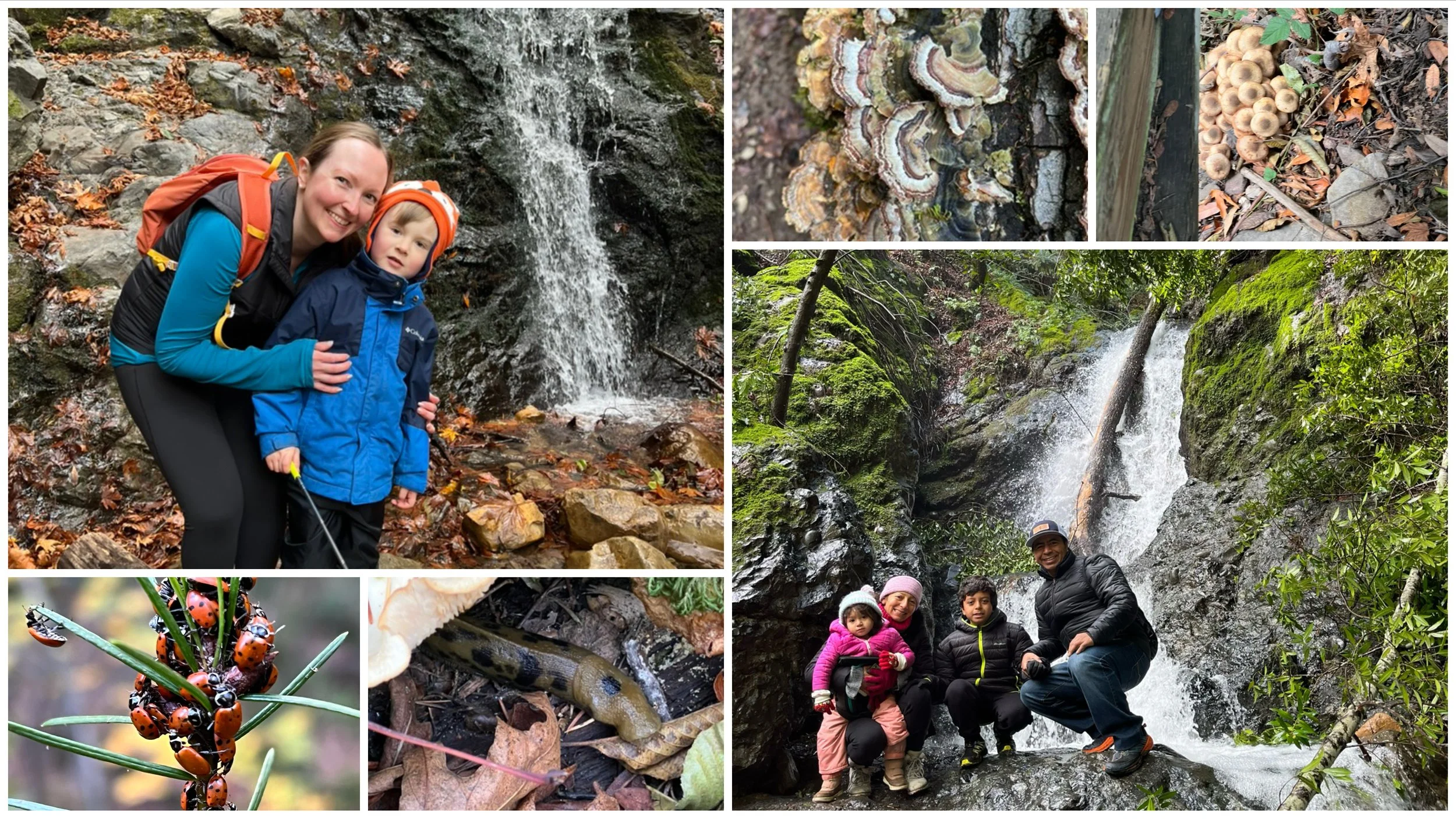 2026_winter_waterfalls_Collage.jpg