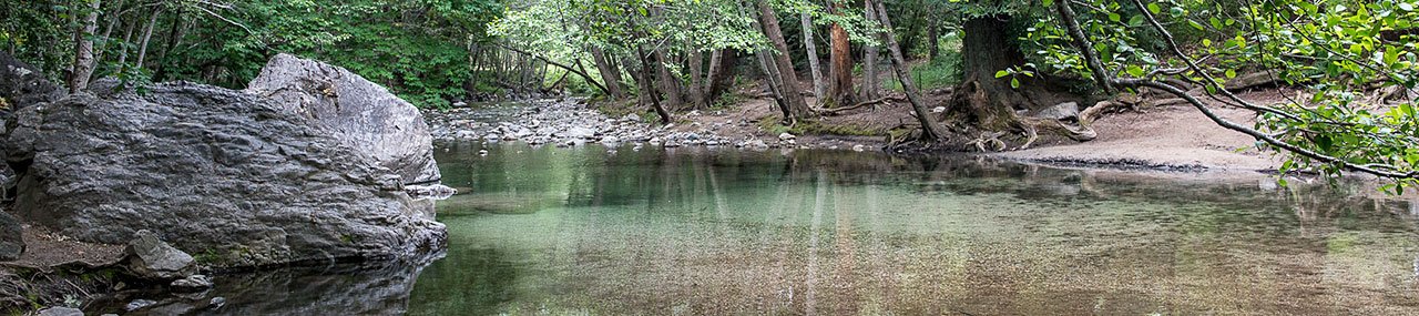 pfeiffer_big sur_river__dsc2900_pieniak.jpg