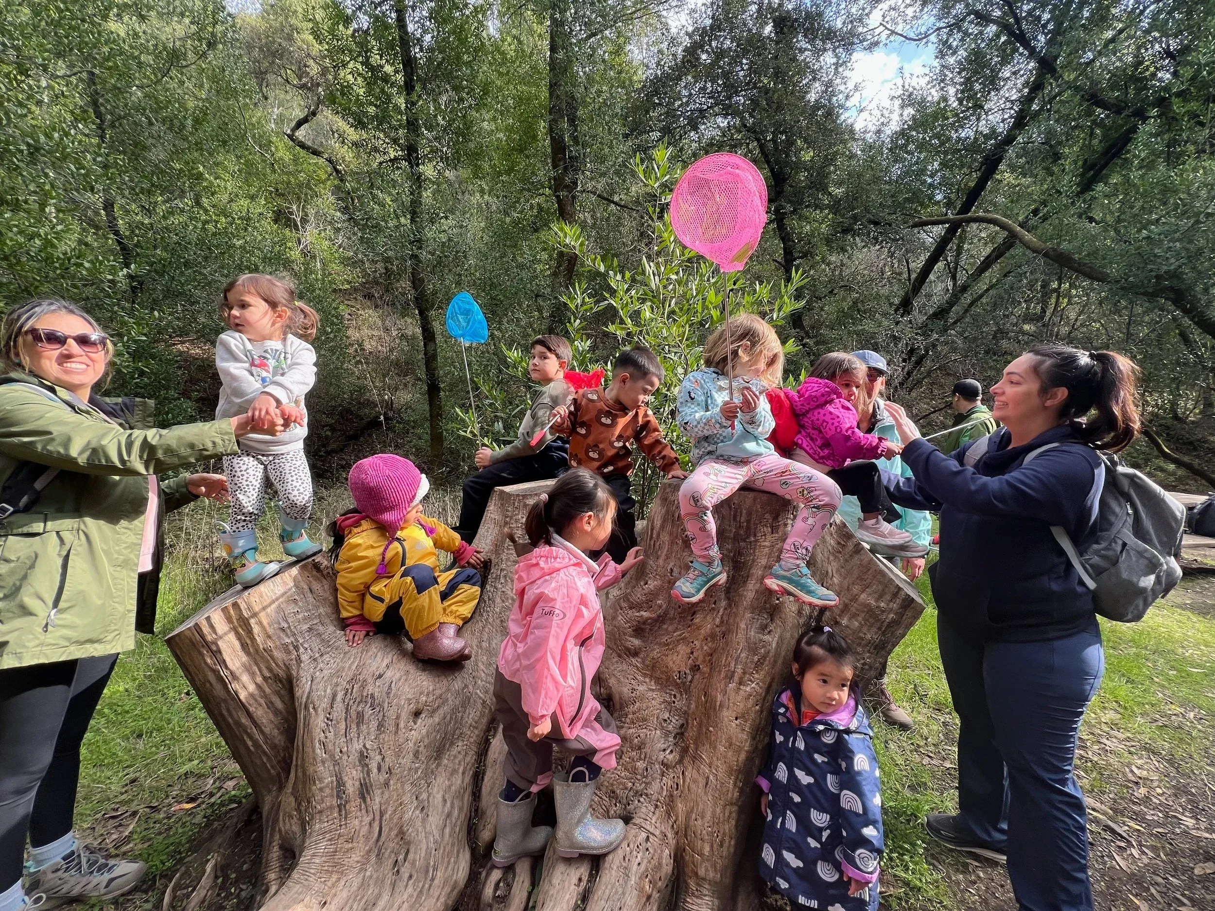 Toddlers with butterfly nets climbing a giant tree stump while moms help them, on a Family Adventure Squad nature walk in Los Altos