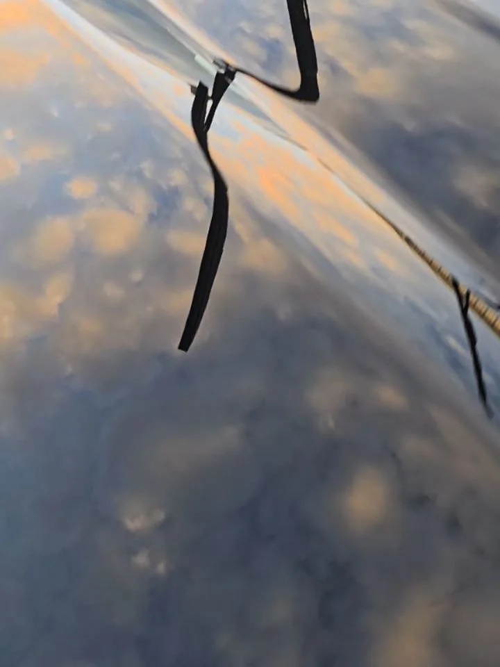 🔥 This 2026 GMC Sierra Denali came to us looking good&hellip; but it left looking untouchable.

This all-black beauty spent 3 full days in our shop getting the royal treatment &mdash; starting with a multi-stage paint correction to eliminate every s