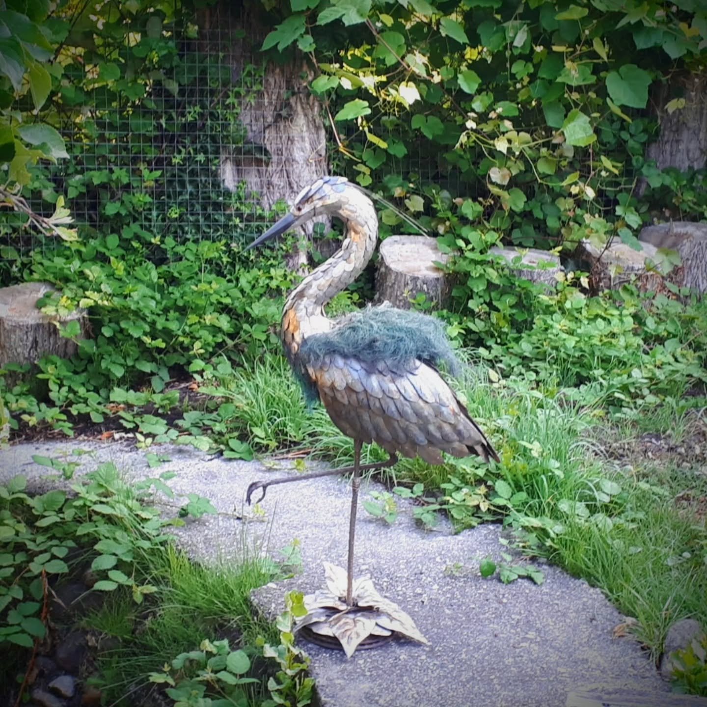 🌿Another oldie of a heron I did while I was living in Nanoose Bay . The back feathers were treated with a salt/vinegar patina mix to make the copper turn green 

www.whiteravenartistry.com 
.
.
.
.
.

#WeldedSculpture #gardenart #homedecor #gardende
