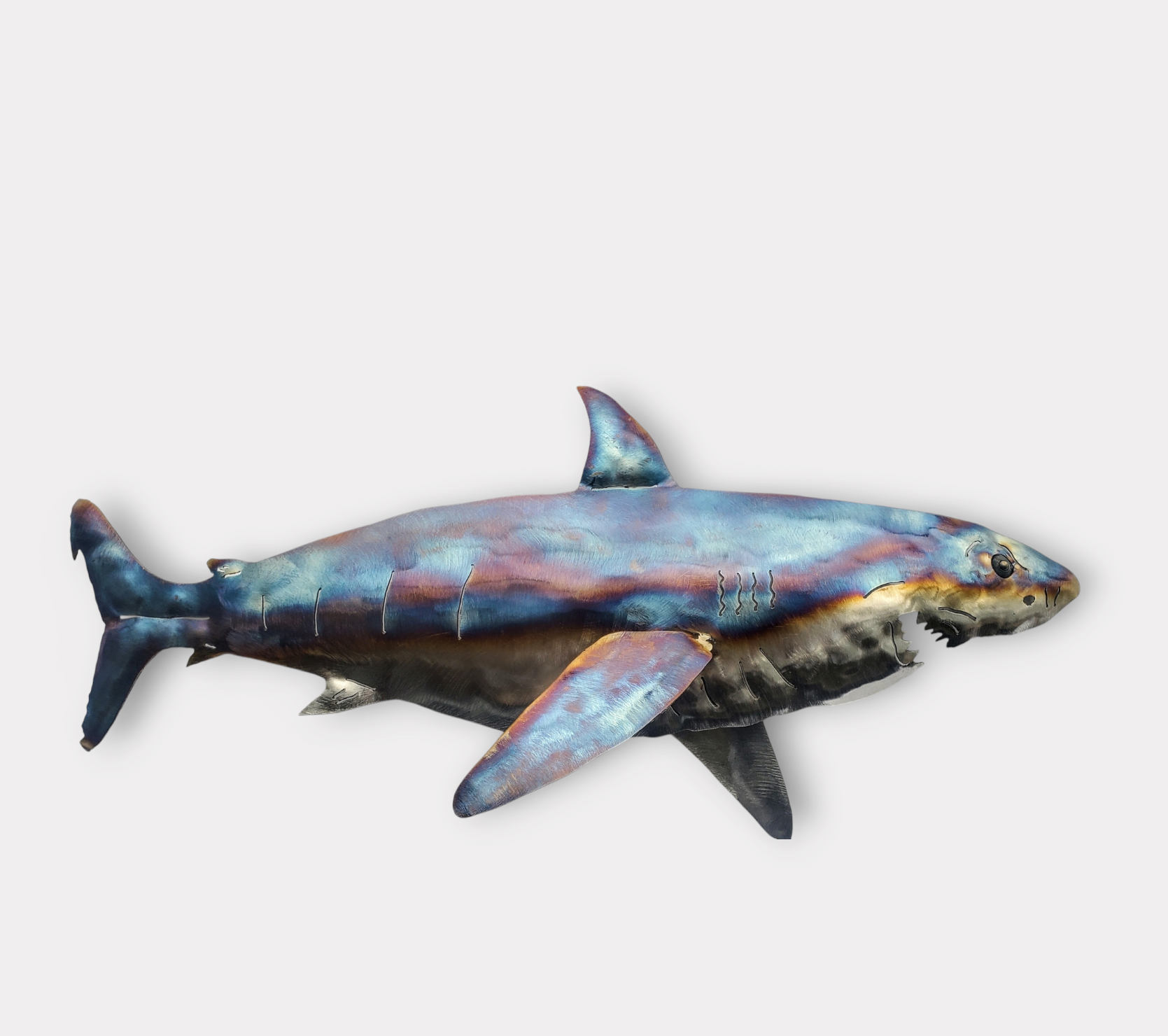 Photoroom-20250120_153013 (1).png