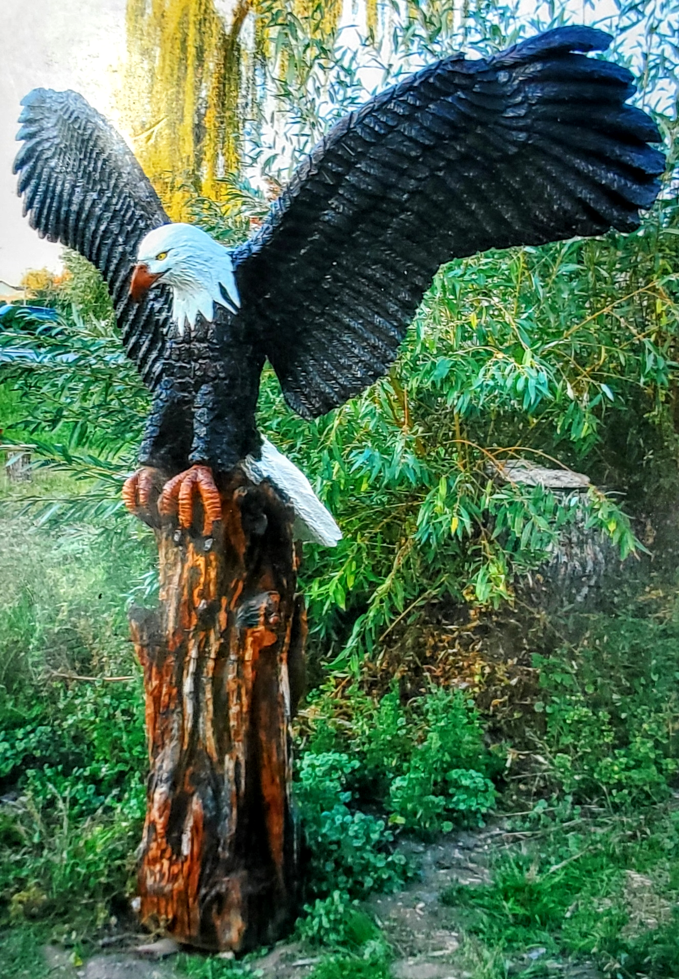 Photoroom-20250204_191150.png