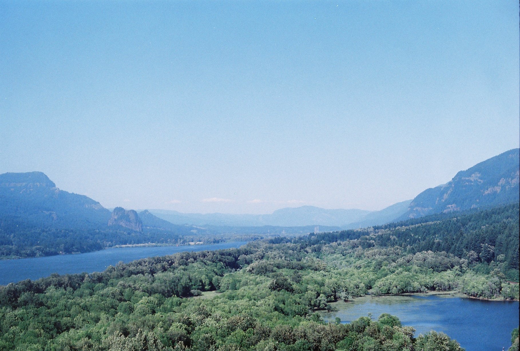 A river flowing through a lush green forest with mountains beyond
