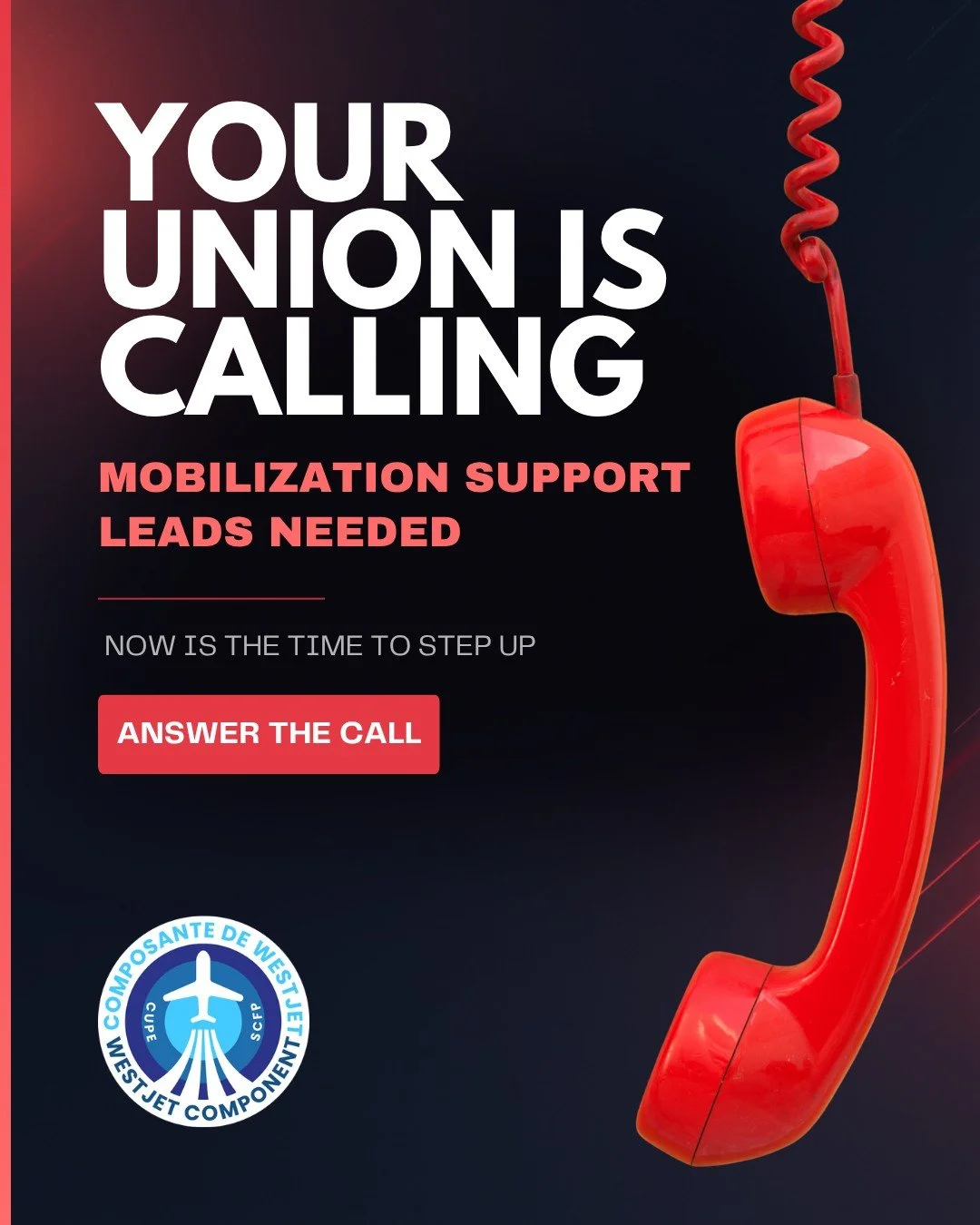 Our solidarity is our future&mdash;and right now, we need you to step up. As we face our next critical steps in bargaining, we need Flight Attendants to take charge as Mobilization Support Leads at all six bases. We cannot win this fight without stro