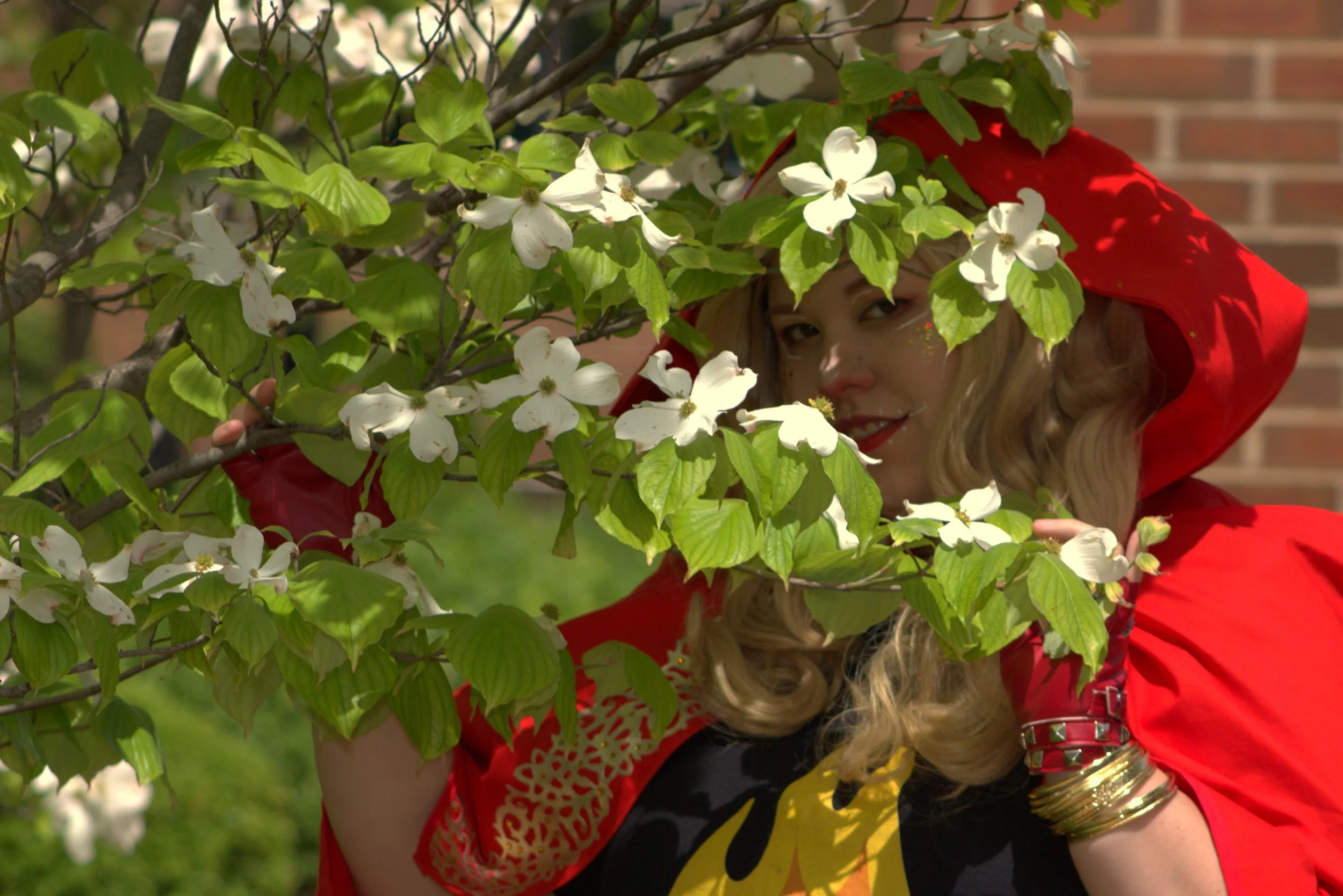 Shot by The Fandom Father