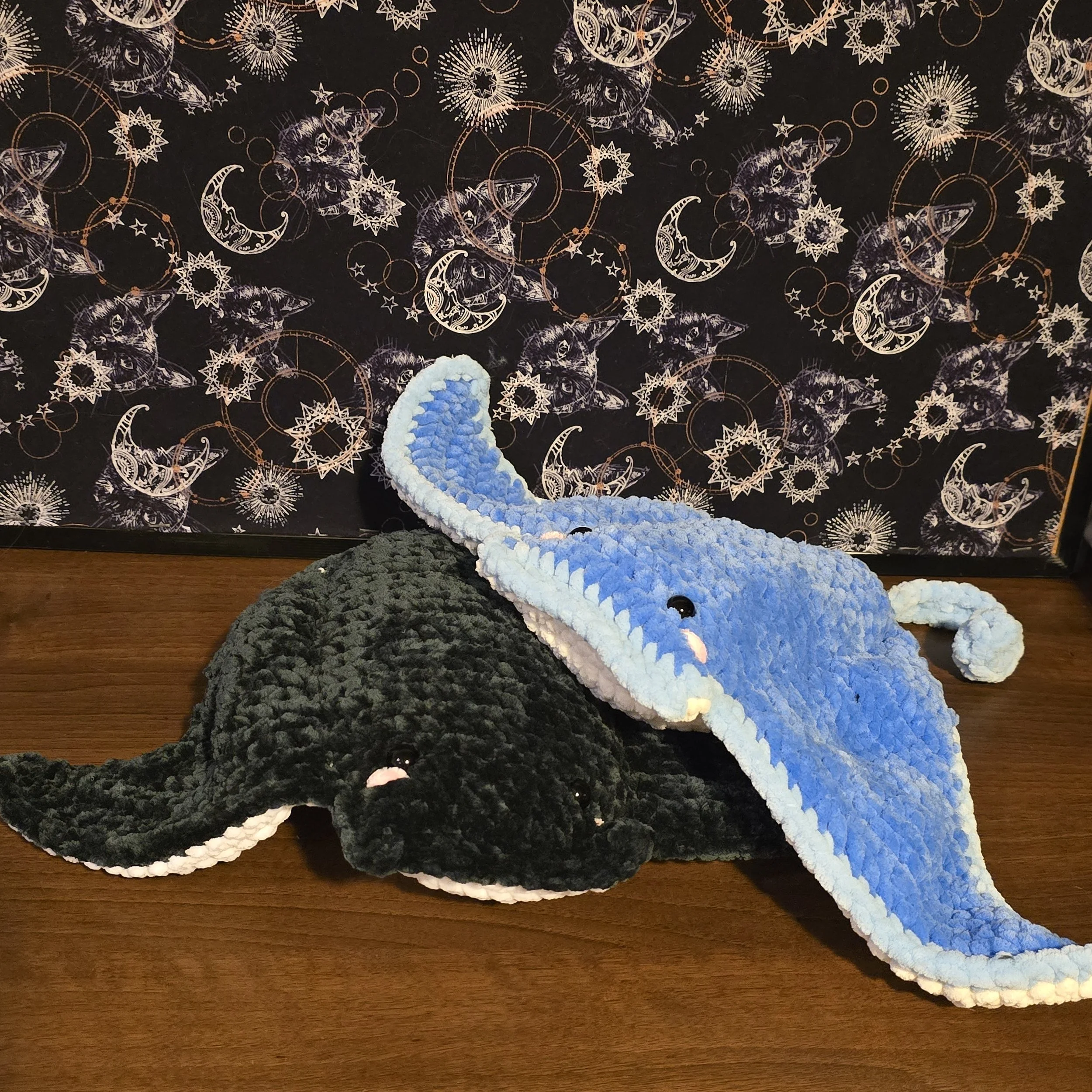 Manta Ray.jpg