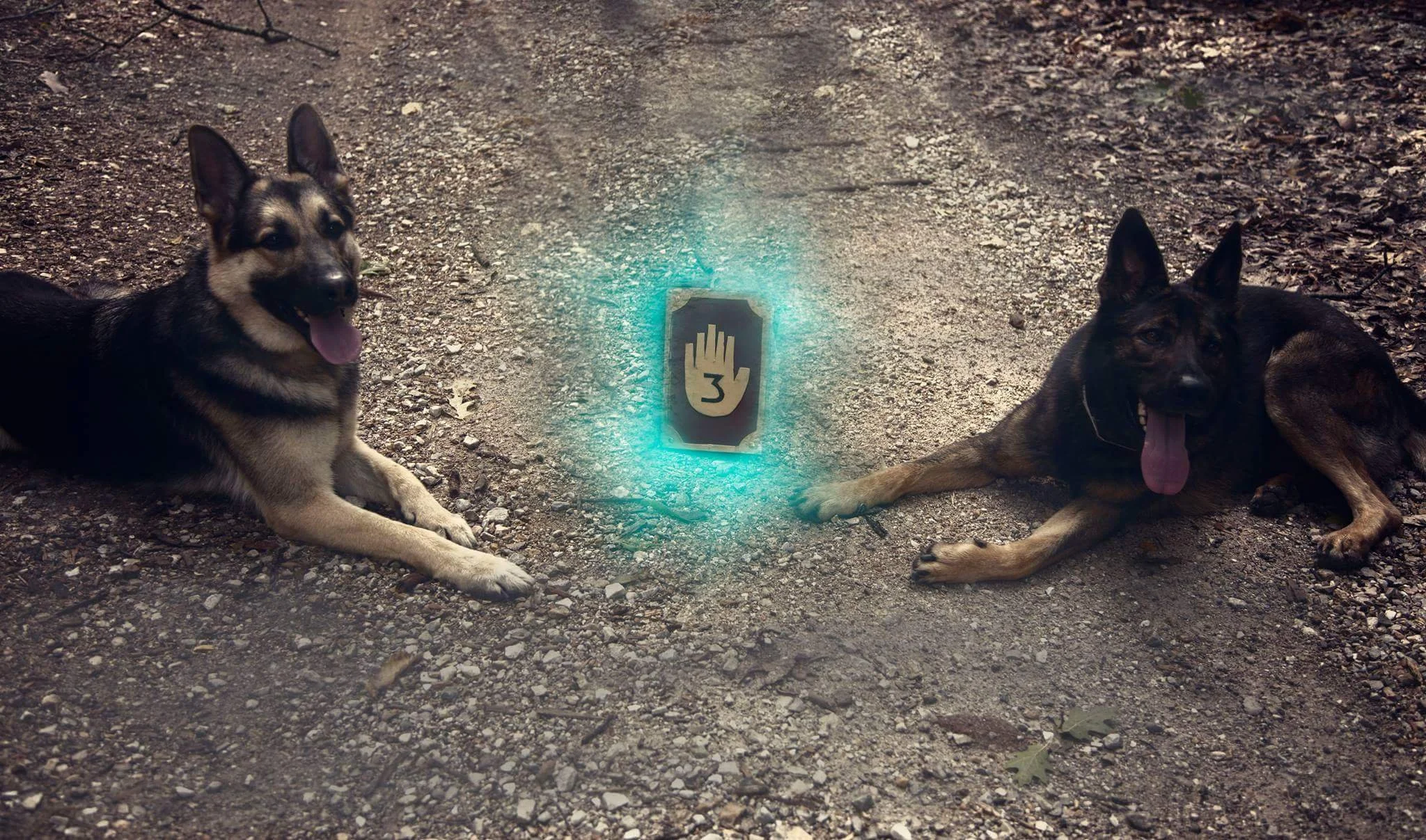 Shot by Logan Mathew Studios