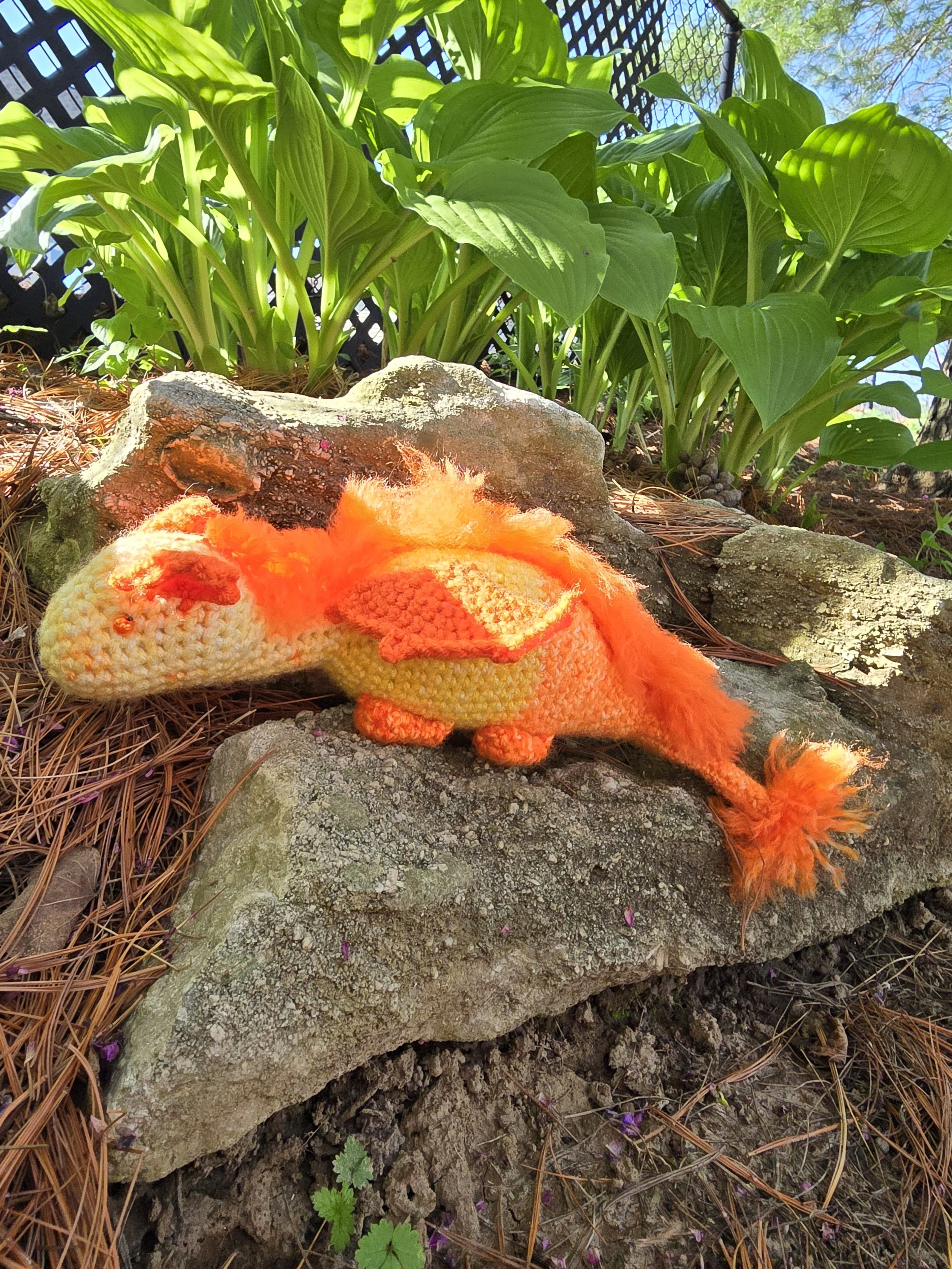 Dragon (1).jpg