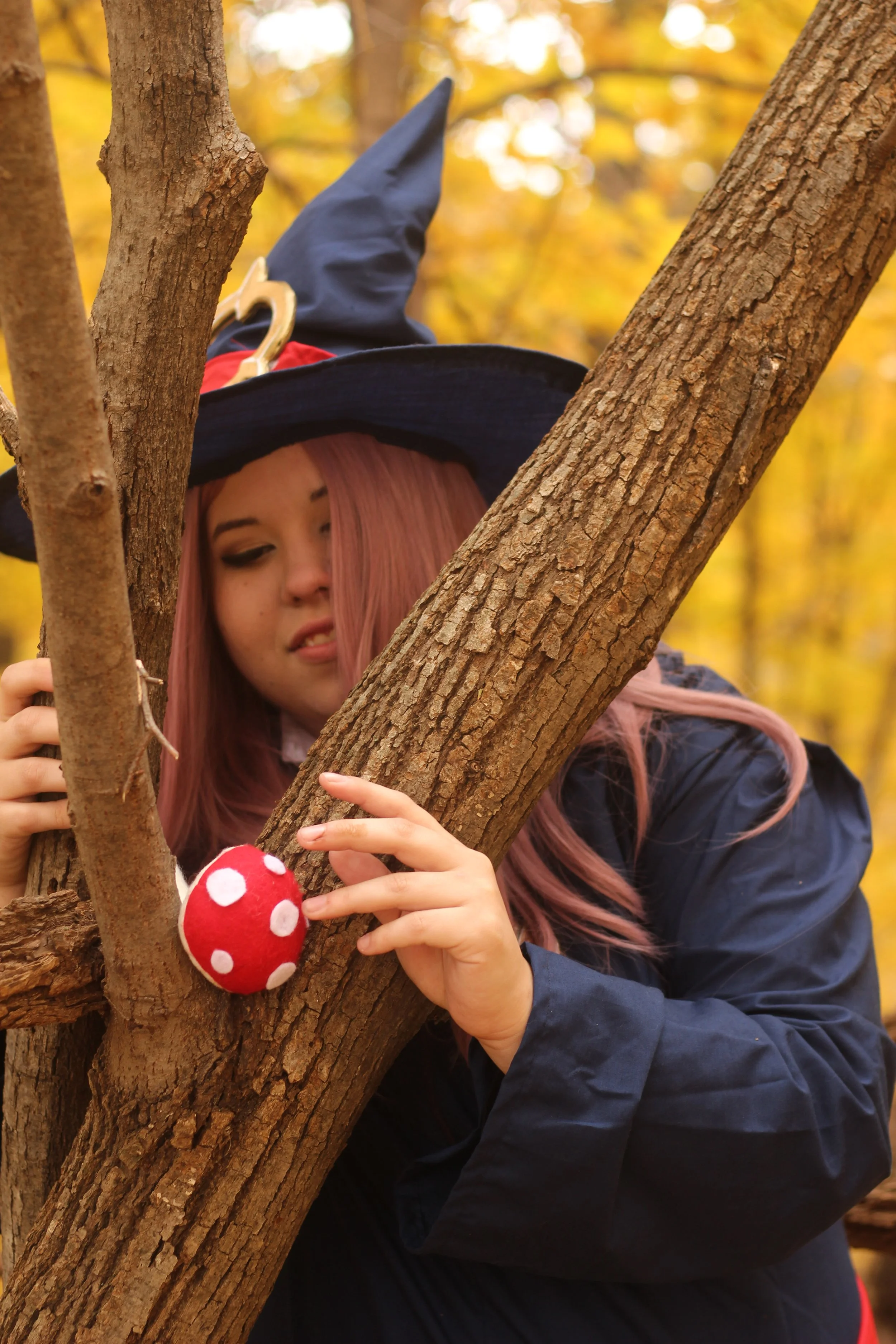 Shot by The Fandom Father