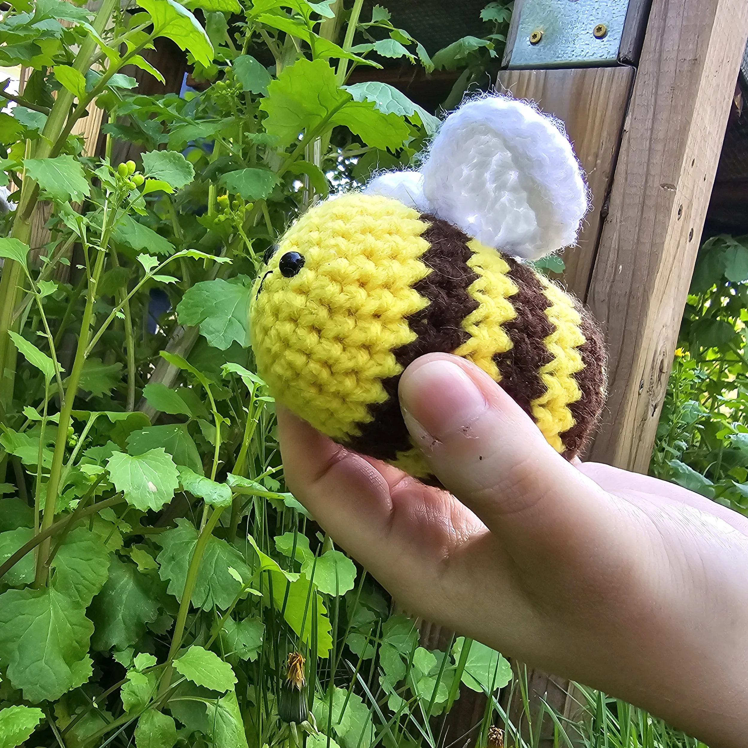 Bee.jpg