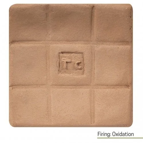 Blackwattle Terracotta