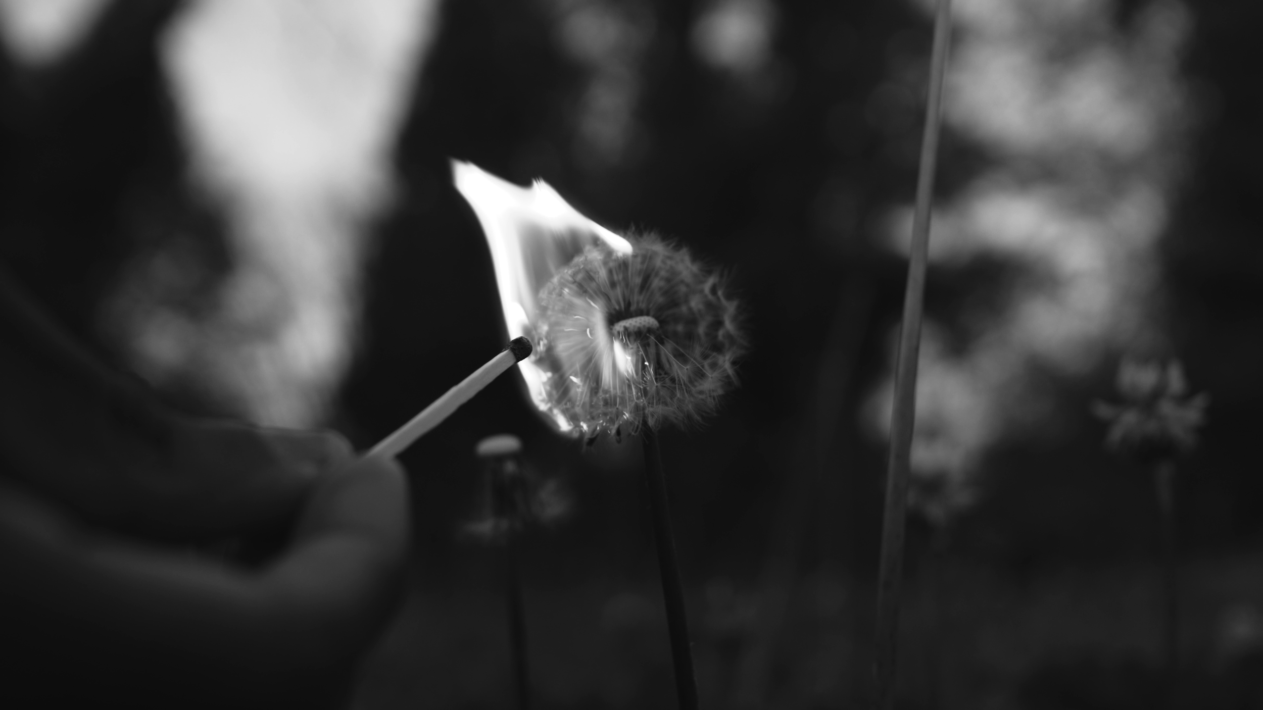 WHEN CIGARETTES TASTE LIKE BLOOD | (2024) |
dir. Kyle Walker
©2024