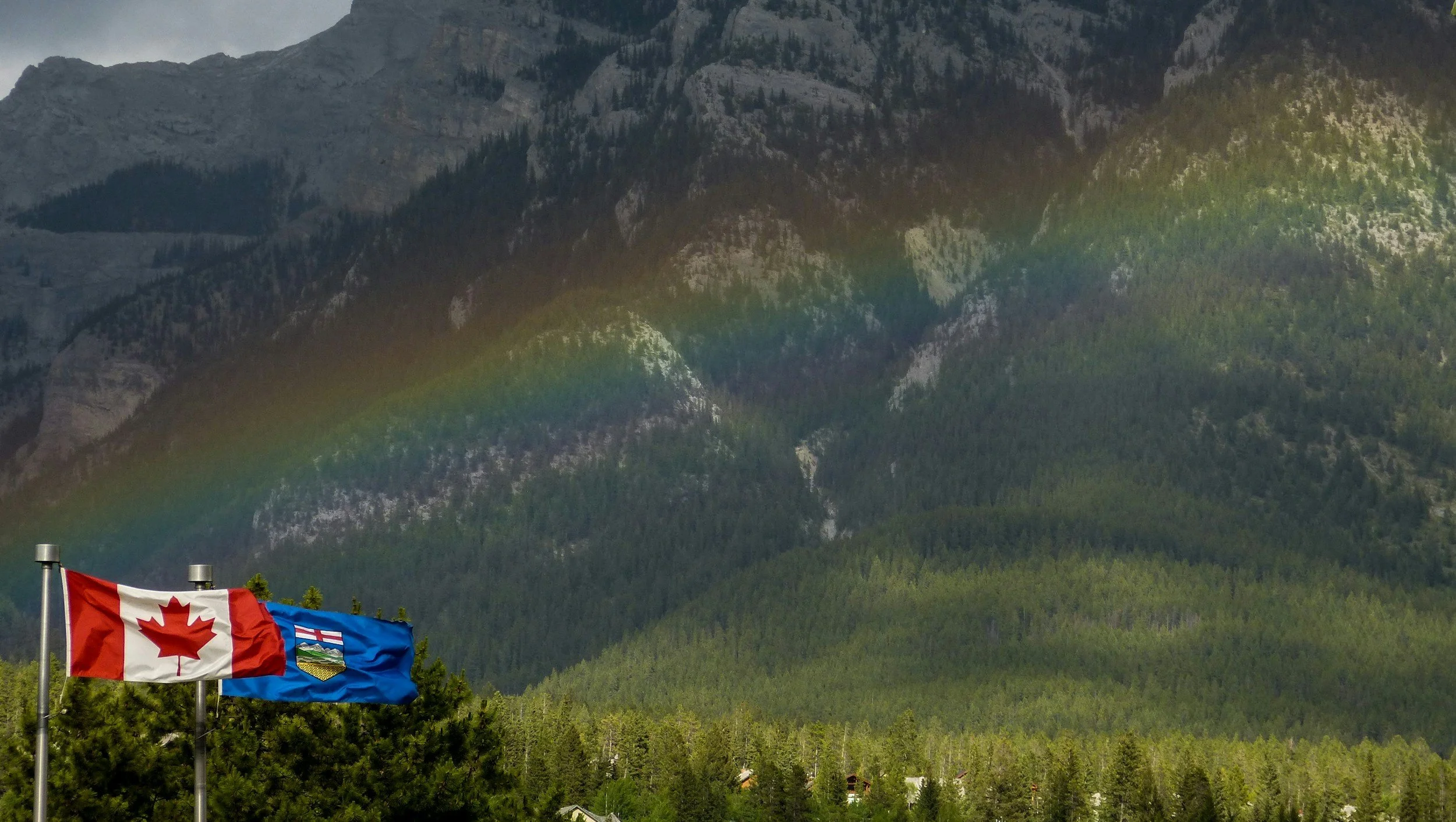 Beyond the Noise: Alberta's Real Estate Opportunity in 2026