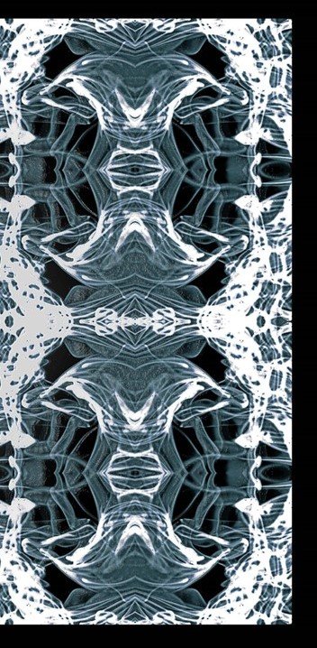 moth with frameZZZ.jpg