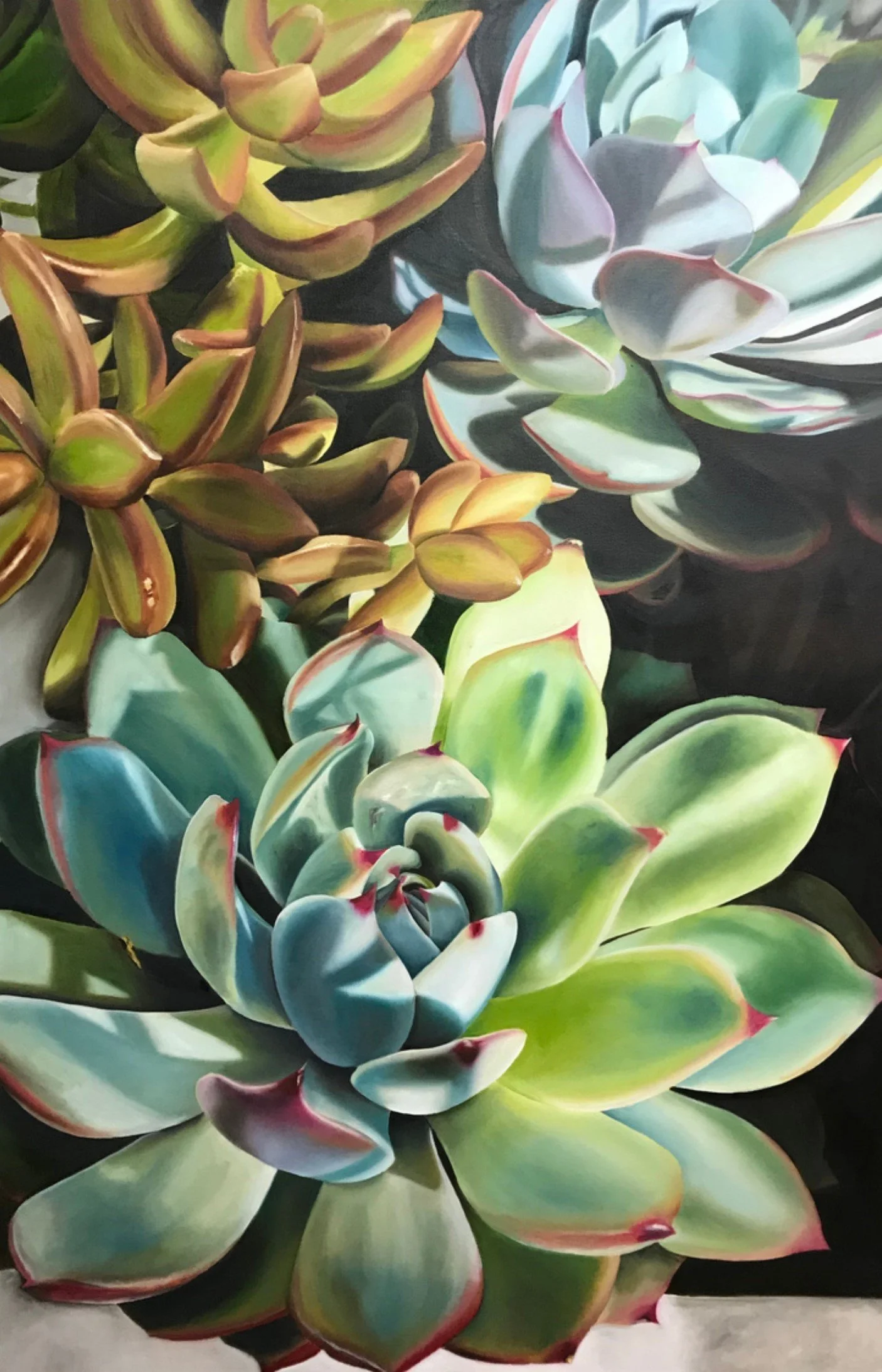 SUCCULENTS