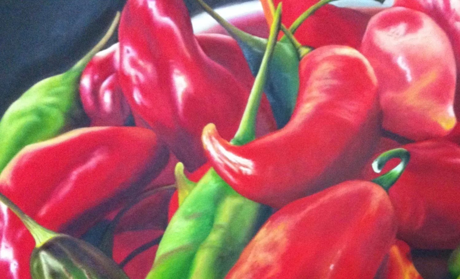 Carina Sager - Portfolio con precios internacionales (1)_page-0014.jpg