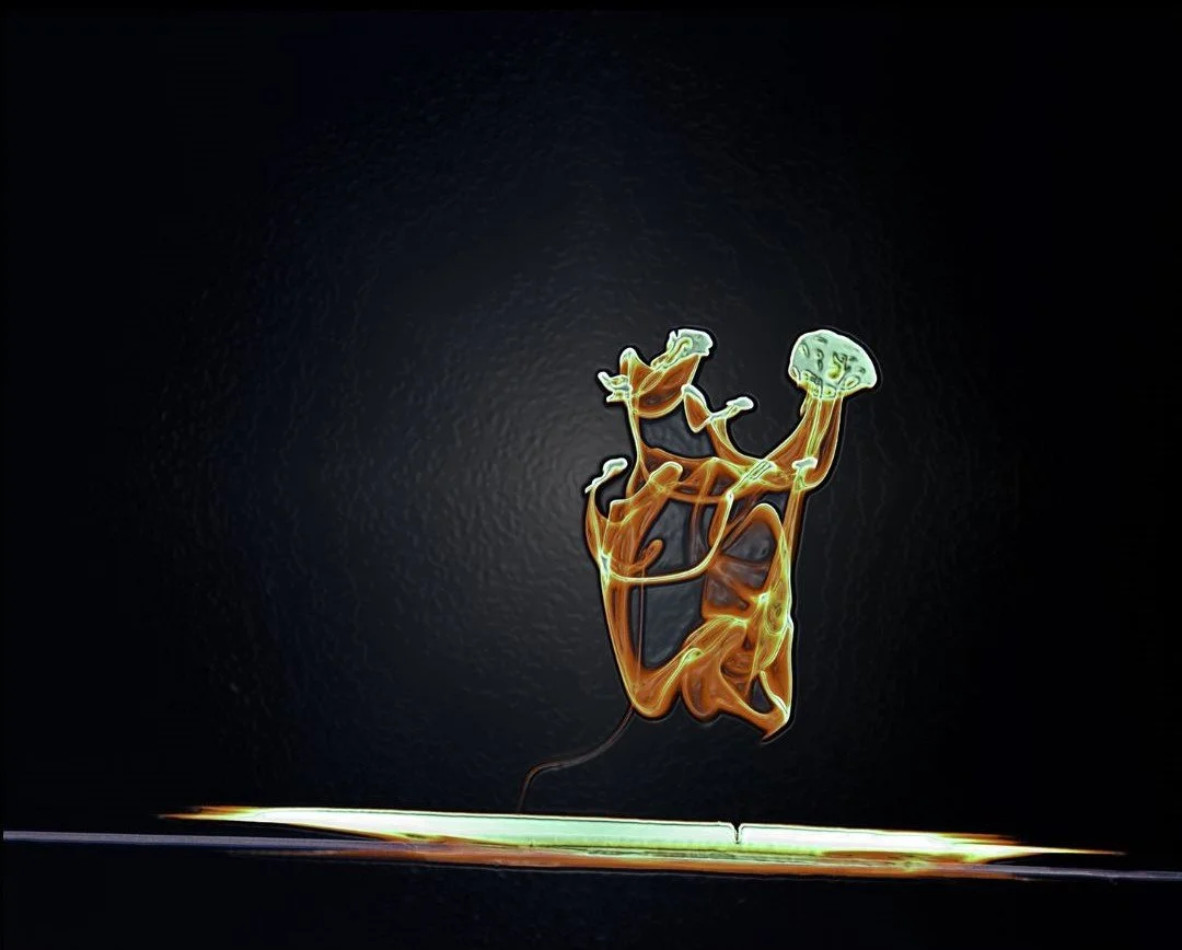 Anima 1 Instagram .jpg