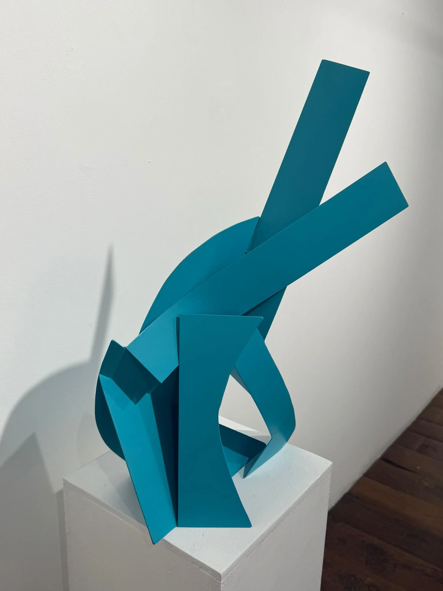 WhatsApp Image 2025-12-10 at 3.57.18 PM (1).jpeg