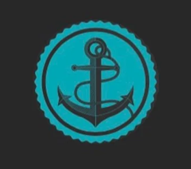 AnchorPoint CFO Solutions