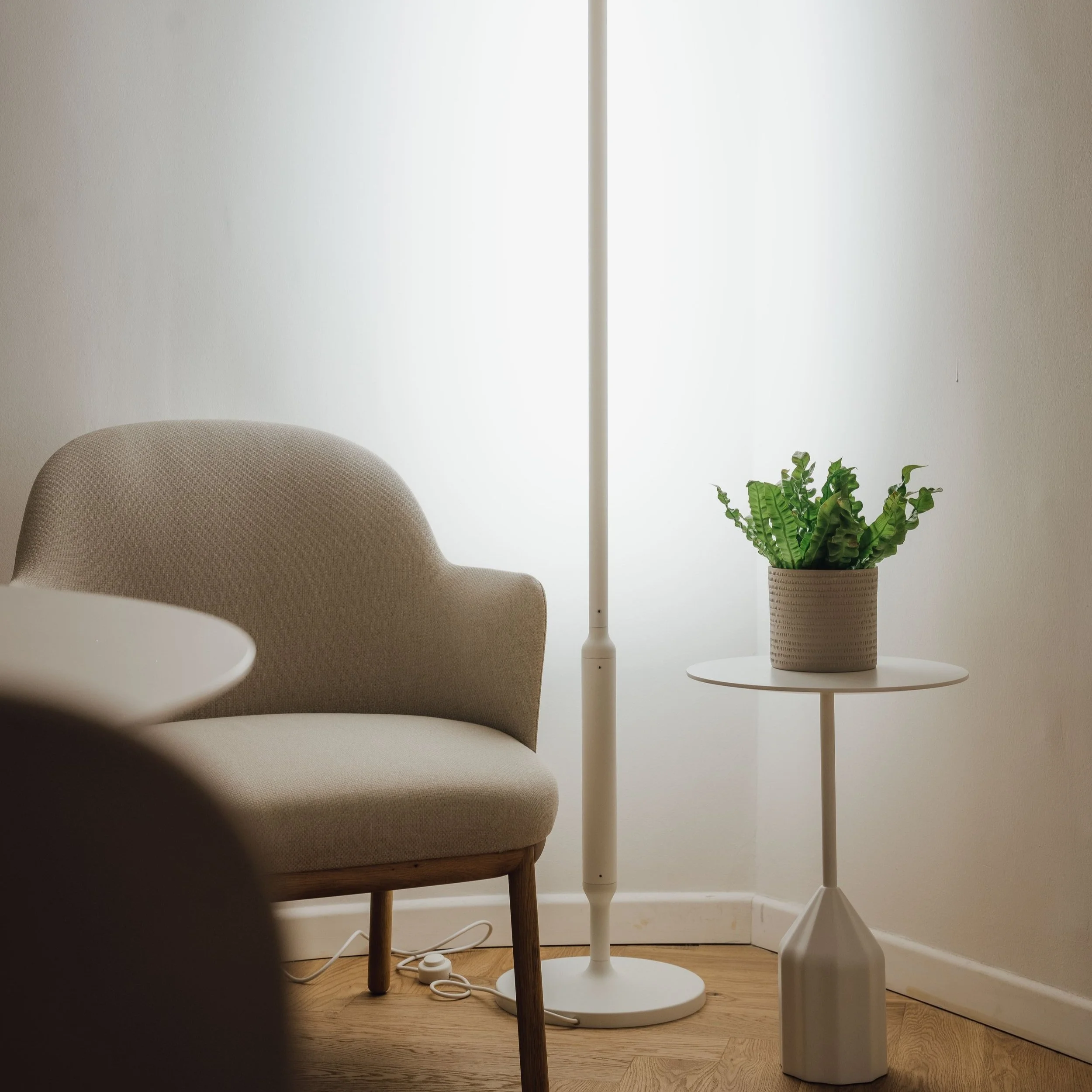 DWLJ - Slim floor 1.jpg