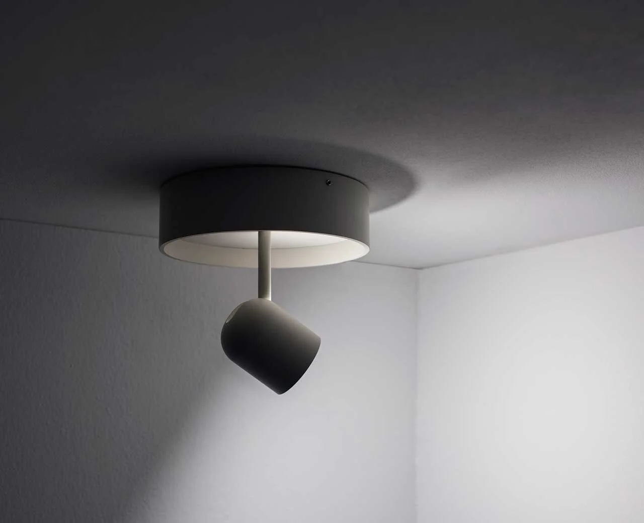 kaschkasch-concierge-lamp-vertigo-bird-1.jpg