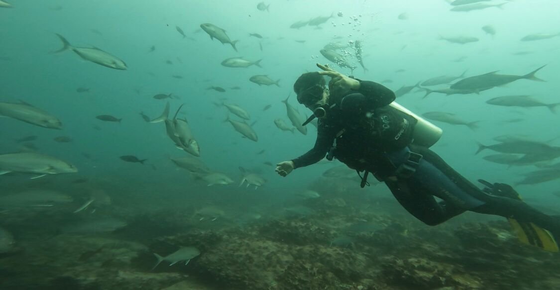 A scuba diver swimming underwater among a school of fish.