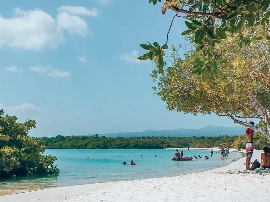 plage-mansa-tortuga-bay-santa-cruz-galapagos-edited.jpg