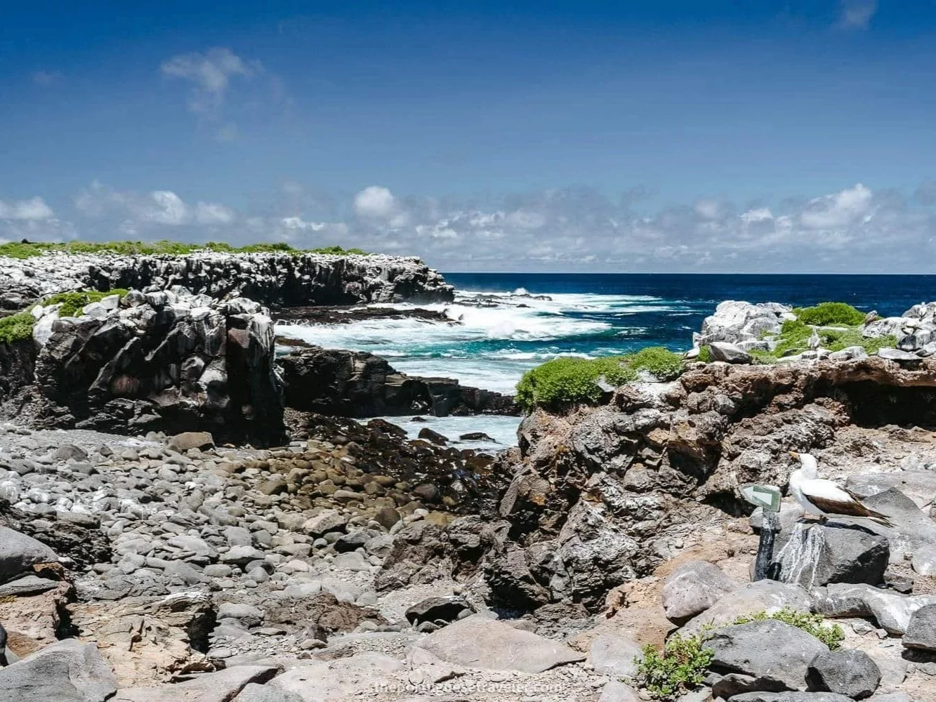 punta-suarez-espanola-island-galapagos-23.jpg