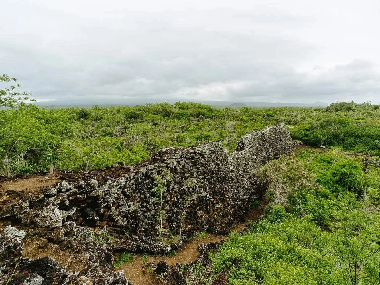 wall-of-tears-muro-de-las-lagrimas-isla-isabela-island-galapagos-7.jpg