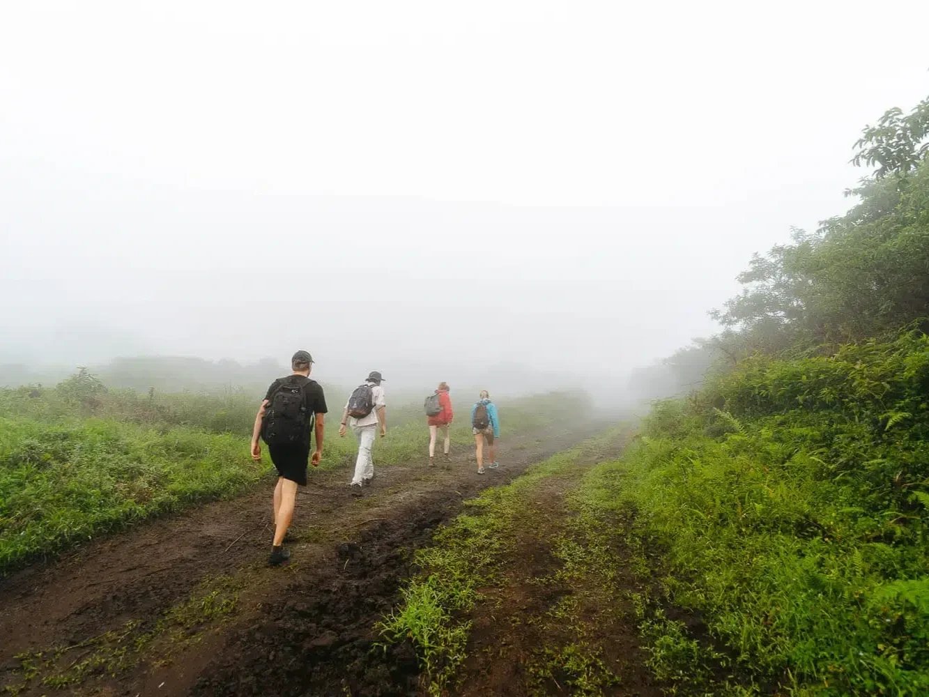 sierra-negra-vulcan-volcano-galapagos-2.jpg.webp