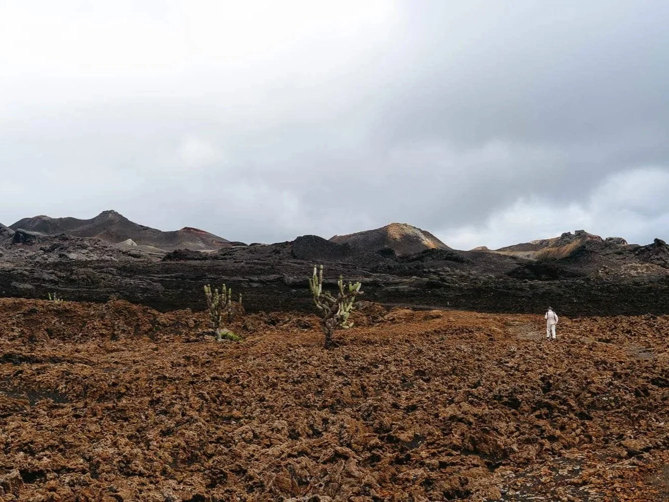 volcan-chico-vulcano-galapagos-7.jpg