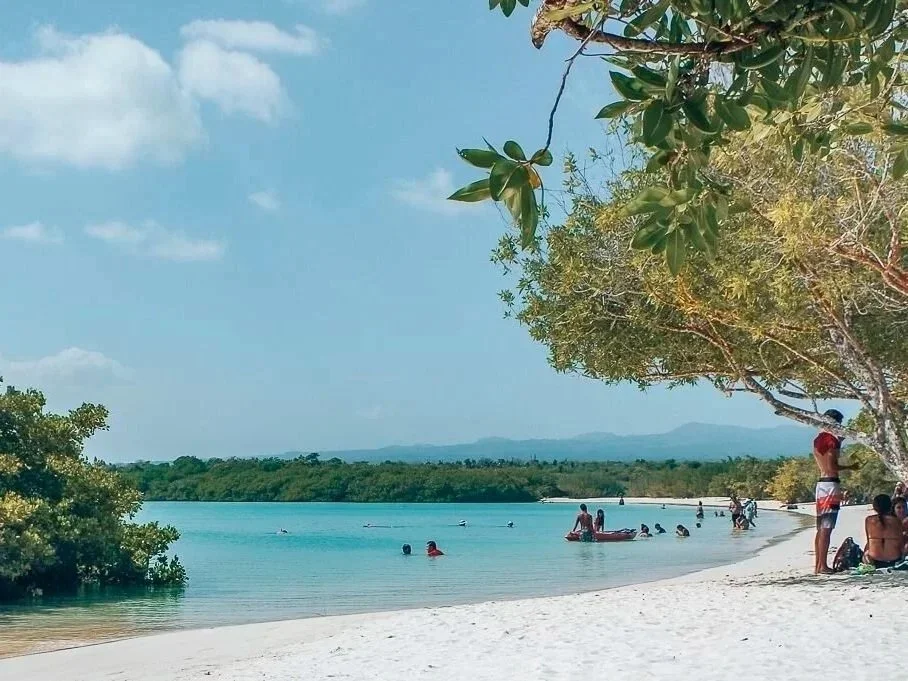 plage-mansa-tortuga-bay-santa-cruz-galapagos-edited.jpg